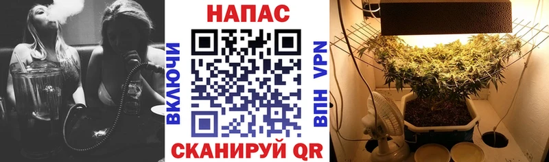 МАРИХУАНА Bruce Banner  закладки  Артём 